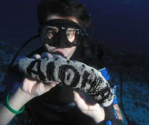 Maui-Scuba-Refresher-Dive-Course